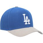 Los Angeles Dodgers Jersey Shop – mens los angeles dodgers mitchell  ness royal corduroy pro snapback hat for Every Dedicated Supporter