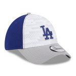 Los Angeles Dodgers Jersey Shop – mens los angeles dodgers new era royalgray 2025 mlb clubhouse 39thirty flex hat for Every Dedicated Supporter
